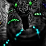Austin Cope - @austin_copee - Instagram