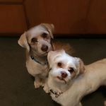 cole austin cornell - @coleaustincornell - Instagram