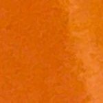 Austin Cornett - @austin.cornett.589 - Instagram