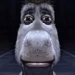 Austin Crain - @austincrain68 - Instagram