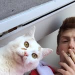 Austin Curran. - @austin_curran - Instagram