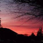 austin Davidson - @austin_.davidson - Instagram