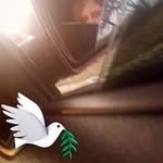 Austin Dawson - @austin_dawson0419 - Instagram