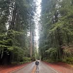 AustinDawson - @austindawson29 - Instagram