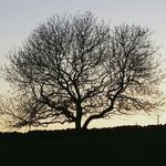 Iain Austin - @iaindibbleaustin - Instagram