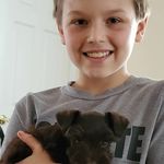 Austin Dillard - @nj_gymnast - Instagram
