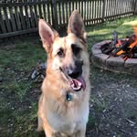 Austin Dodge - @austindodge31 - Instagram