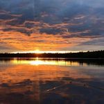 Austin Donaldson - @austindonaldson.1 - Instagram