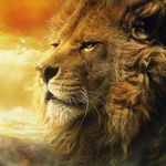 Austin Douglas - @austin_douglas_dublin - Instagram
