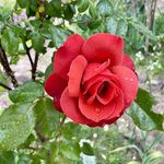Austin Douglas - @austindouglas659 - Instagram
