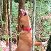 austindowdy63 - @austindowdy63 - TikTok