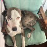 Austin Duerr - @austin_duerr - Instagram