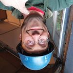 Austin Albert Charles Durrant - @austinalbertcharlesdurrant - Instagram