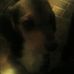 Austin Durrow - Facebook