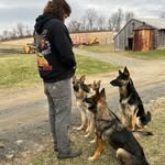 Austin Dutcher - @dutchssheppack - Instagram