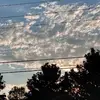 Austin Dutton - @austin.dutton0 - TikTok