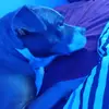 Austin Eagle - @austin.eagle - TikTok