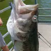 austinsocrazy23 - @austineagle5 - TikTok