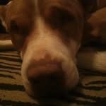 austin adam eason - @austin9876543 - Instagram
