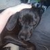 Austin Eaves - Facebook