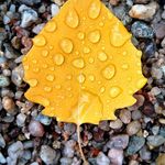 Austin Eberhardt - @malathfeel - Instagram