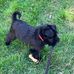 Austin Eberly - Facebook
