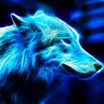 subscribe at Austin eberly - @thecoolnightwolf - Instagram