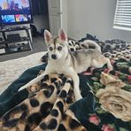 Austin Ebersole - Facebook