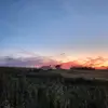 a u s t i n - @austin_eckhoff - TikTok