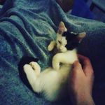 Austin eder - @mrcasual14 - Instagram