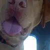 austinehrhart0 - @austinehrhart0 - TikTok