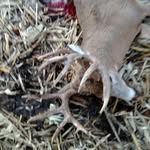 Austin Eickhoff - @austine2003 - Instagram