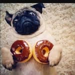 Austin Eldred - @the_funny_guy43 - Instagram