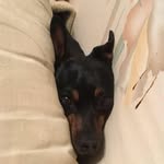 @austin.emery.1800 - Instagram