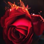 Austin Emery - @austin_emery1 - Instagram