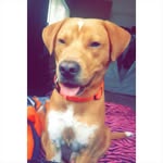 jordan austin epperly - @jordanaustinepperly - Instagram