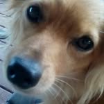 Austin estep - @austinestep2005 - Instagram