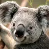 Austin Severson - @austin.severson6 - TikTok