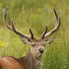 austin fields - @austin.fields8 - TikTok