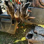 Austin Fortner - @afortner12 - Instagram