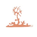 AustinFreed - @austinfreed.clothing - Instagram