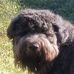 Austin Freysinger - Facebook