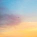 Austin Friedman - Facebook