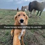 Austin Friend - @austin.friendy - Instagram