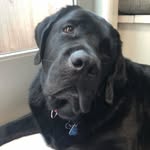 Austin Fullerton - @austin_fullerton16 - Instagram