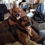 Cindy Austin Fullerton - @cindyaustinfullerton - Instagram