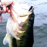 Austin Fulton - @fishing_addict54 - Instagram