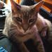 Austin Fulton - Facebook