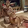 Austin Gaines - @austingaines40 - TikTok