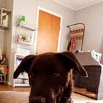 Austin Gale - @austin.gale14 - Instagram